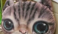 胖猫谭竹吃瓜爆料